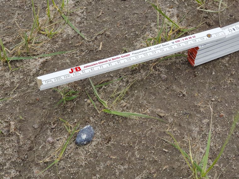 Fotografía de los posibles fragmentos de asteroide hallados cerca de Berlín (Alemania) Foto: EFE/ Cevin Dettlaff Museo De Historia Natural De Berlín