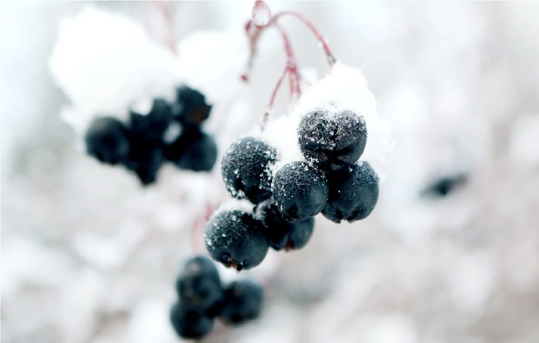 Foto: pixabay.com