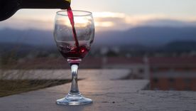 Día del Malbec: una celebración que une historia, identidad y cultura del vino. Foto: Municipalidad de Mendoza. Día del Malbec: una celebración que une historia, identidad y cultura del vino. Foto: Municipalidad de Mendoza.