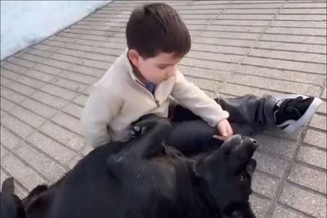 El video viral que conquistó el corazón de todos los usuarios en redes sociales. El video viral que conquistó el corazón de todos los usuarios en redes sociales.