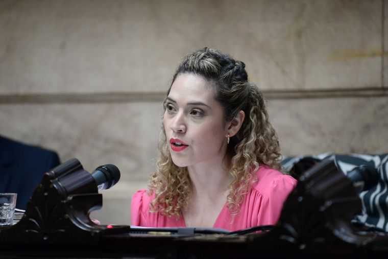 Lourdes Arrieta disparó contra Silvia Lospennato. Foto: X @DiputadosAR