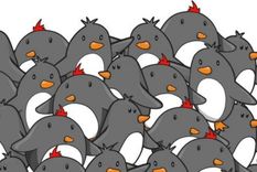 ACERTIJO VISUAL ACERTIJO VISUAL, RETO VISUAL, PINGÜINO Foto: ARCHIVO ACERTIJO VISUAL ACERTIJO VISUAL, RETO VISUAL, PINGÜINO Foto: ARCHIVO