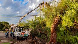 Desde la Municipalidad de Maipú informaron cuáles fueron las labores que se realizaron por la tormenta. Los detalles. Desde la Municipalidad de Maipú informaron cuáles fueron las labores que se realizaron por la tormenta. Los detalles.