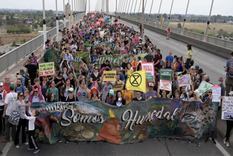 El proyecto de ley del oficialismo logró el apoyo de las organizaciones ambientalistas, pero genera el rechazo de las entidades empresarias de diversas actividades, que sienten que el proyecto va contra su sector. Foto: @RenahuDe Twitter