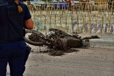 El hombre fue hallado sin vida luego de haber sido arrastrado por la crecida en un cruce de Tupungato