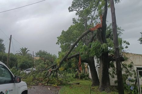 El feroz temporal que azotó el conurbano dejó calles anegadas, árboles caídos y más de 16 mil usuarios sin luz. El feroz temporal que azotó el conurbano dejó calles anegadas, árboles caídos y más de 16 mil usuarios sin luz.