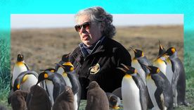 La lucha de Durán Gafo permitió que los pingüinos encontraran un espacio seguro y establecieran una colonia única en Tierra del Fuego.