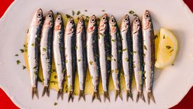 Los nutricionistas consideran que las sardinas entran dentro de la categoría de "superalimento"