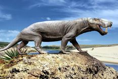 Los gorgonópsidos, como Inostrancevia, sucumbieron en la mayor extinción terminal que se supone experimentó la vida en la Tierra, la del final del Pérmico. Foto: Wikipedia.