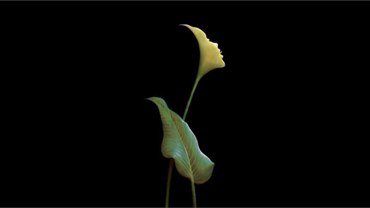 test de personalidad