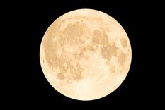 El horóscopo dijo esto sobre la luna y los signos. Foto: Shutterstock