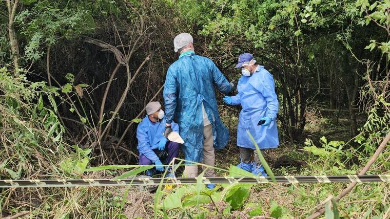Los petitos trabajando tras el hallazgo Foto: Ministerio Público Fiscal de Tucumán