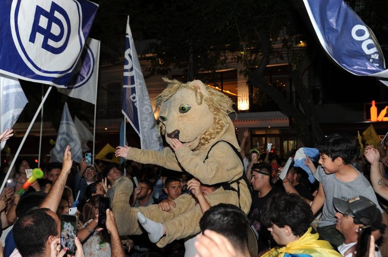 Milei habló de convocar a un plebiscito para que sea la población argentina la que vote sobre la aprobación o el rechazo del DNU Foto: ALF PONCE MERCADO / MDZ