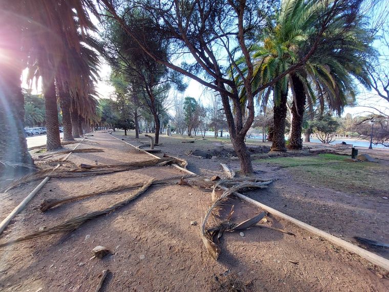 El viento Zonda arrasó con Mendoza el viernes. Foto: Santiago Tagua/MDZ