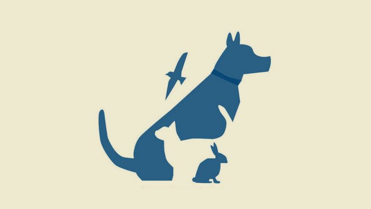 Test de personalidad