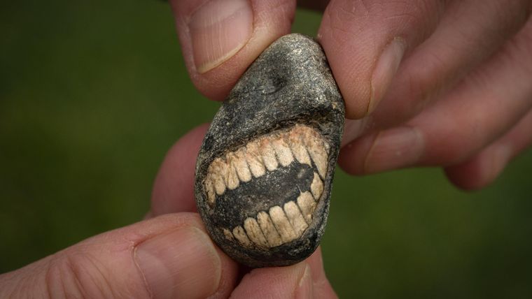 El fósil fue descubierto en la isla de Lindisfarne.