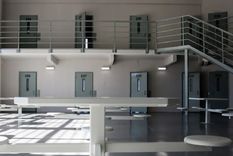 seguridad y justicia: el patronato de los liberados