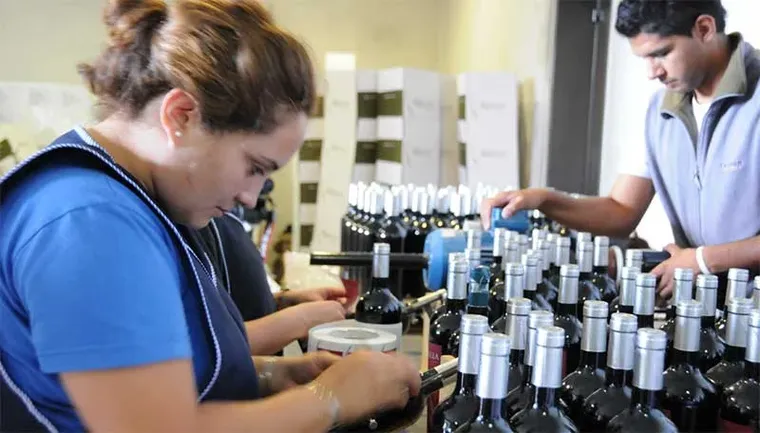 Cómo actualizar las reglas del trabajo en un mercado atravesado por la informalidad  