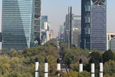 Los rascacielos que escoltan la Ciudad de México. Foto: Antonio Riccobene/MDZ