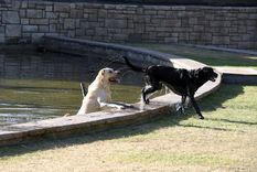 Foto: ALF PONCE MERCADO / MDZ