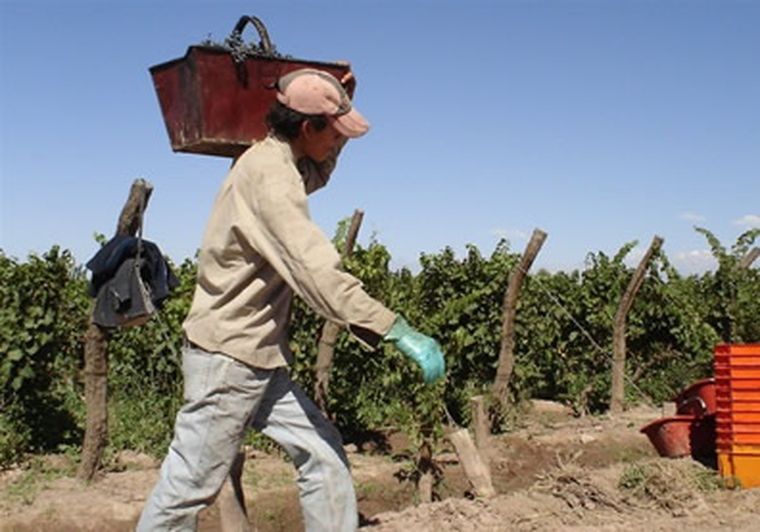 La cosecha ya ha terminado y el Fondo entrega los créditos para levantarla