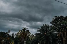 Foto: Santiago Tagua/MDZ