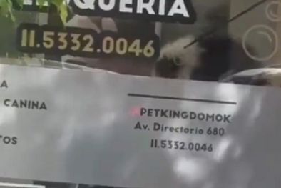 MDZol | Foto: Captura pantalla.