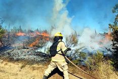 Las llamas asolan el centro del país. Foto: ID.