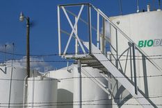 biodiesel: el gobierno protestara ante espana