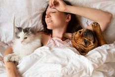 Esta es la mascota que vive por más tiempo, según un estudio Foto: SHUTERSTOCK