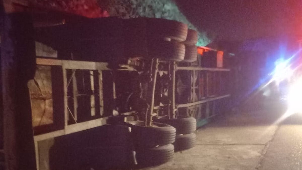 Impactante accidente en San Rafael: un camión con caballos volcó y varios de ellos murieron