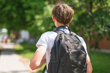 Los corredores seguros buscan reforzar la seguridad a la entrada y salida de las escuelas. Los corredores seguros buscan reforzar la seguridad a la entrada y salida de las escuelas.