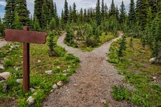 Sueños Conoce el significado de soñar con caminos Foto: Pexels