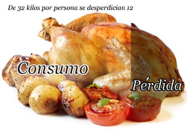 Al año una persona que compra 32 kilos de pollo, desperdicia 12.