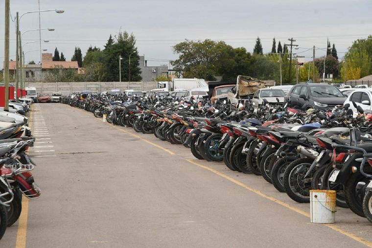 El miércoles continúa el remate. Foto: ALF PONCE MERCADO / MDZ.