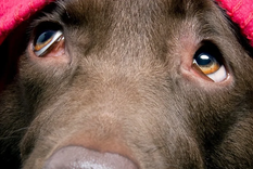 Foto: farmersalmanac.com