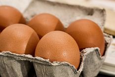Ante los tiempos cortos que a veces se tiene, el microondas se ha convertido en un gran aliado de la cocina. Foto: ARCHIVO