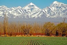 Naturaleza El contexto de la pandemia ha permitido repensar los vínculos con el planeta.