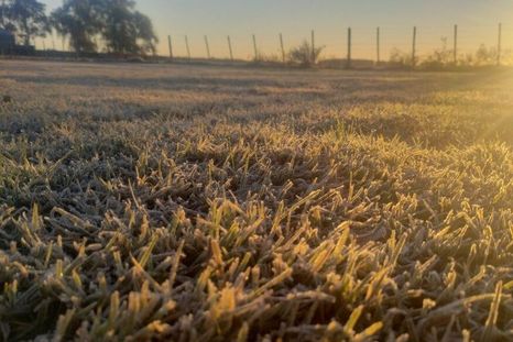 Calor futbolero y frío polar: el agro sostiene el ingreso de dólares con exportaciones récord pero las terminales enfrentan la amenaza de paro. Calor futbolero y frío polar: el agro sostiene el ingreso de dólares con exportaciones récord pero las terminales enfrentan la amenaza de paro.