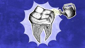 Los humanos no son capaces de regenerar los dientes definitivos que pierden, a diferencia de otras especies.