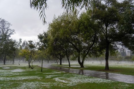 El pronóstico del SMN anticipa tormentas fuertes en Buenos Aires y lluvias en sectores de la Patagonia. El pronóstico del SMN anticipa tormentas fuertes en Buenos Aires y lluvias en sectores de la Patagonia.