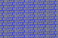 ACERTIJO VISUAL ACERTIJO VISUAL, RETO VISUAL, PALABRA Foto: MDZ ONLINE