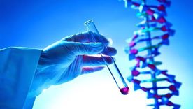 La capacidad de leer el mapa de la genética está transformando la medicina tradicional hacia un modelo preventivo y personalizado. La capacidad de leer el mapa de la genética está transformando la medicina tradicional hacia un modelo preventivo y personalizado.
