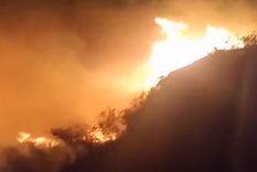 Foto: Captura de pantalla