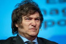 Javier Milei pierde imagen positiva.