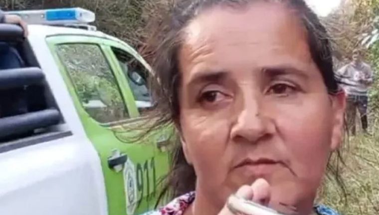 El abogado representó a la mamá de Loan Foto: captura de pantalla