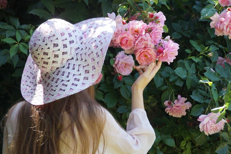 Plantas Consigue un bello jardín gracias a estos consejos Foto: Pixabay