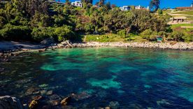 Cachagua muestra una de las postales costeras más atractivas de Chile, con playa extensa, cerros y mar abierto. Cachagua muestra una de las postales costeras más atractivas de Chile, con playa extensa, cerros y mar abierto.