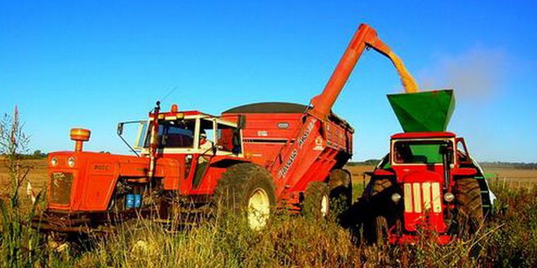 La actividad agroindustrial sumó movimiento económico en casi todo el país. Foto: Flickr