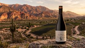 Un Pinot Noir desde el Norte Argentino. Un Pinot Noir desde el Norte Argentino.